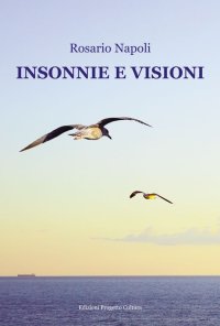 Immagine copertina libro Insonnie e visioni