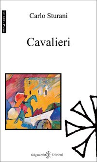 Immagine copertina libro Cavalieri