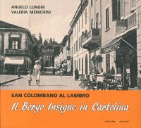 Immagine copertina libro Il Borgo Insigne in cartolina. San Colombano al Lambro. Ediz. illustrata