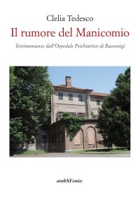 Immagine copertina libro Il rumore del manicomio. Testimonianze dall'ospedale psichiatrico di Racconigi