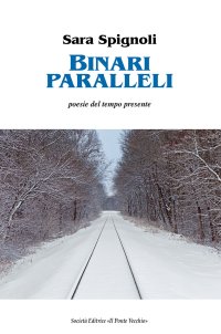 Immagine copertina libro Binari paralleli