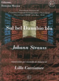 Immagine copertina libro Sul Bel Danubio Blu. Johann Strauss