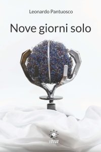 Immagine copertina libro Nove giorni solo