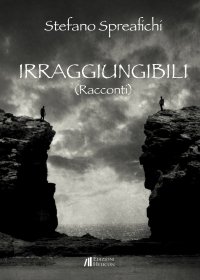 Immagine copertina libro Irraggiungibili