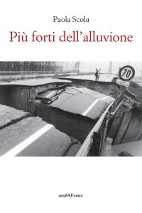 Immagine copertina libro Più forti dell'alluvione