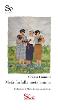 Immagine copertina libro Metà farfalla metà anima