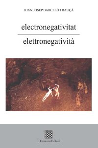 Immagine copertina libro Electronegativitat-Elettronegatività