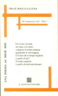 Immagine copertina libro Tra il sole e la luna