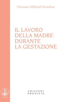 Immagine copertina libro Il lavoro della madre durante la gestazione