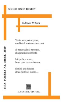 Immagine copertina libro Sogno o son desto?