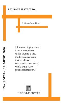 Immagine copertina libro E il sole si svegliò