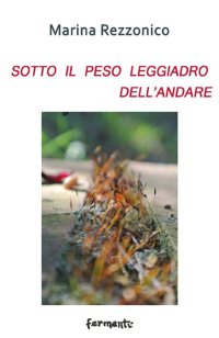 Immagine copertina libro Sotto il peso leggiadro dell'andare