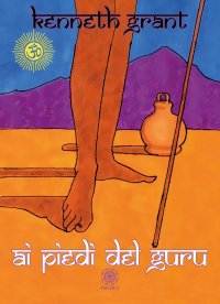 Immagine copertina libro Ai piedi del guru