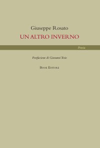 Immagine copertina libro Un altro inverno