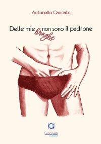 Immagine copertina libro Delle mie braghe non sono il padrone