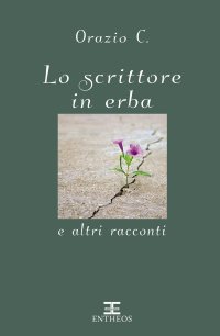 Immagine copertina libro Lo scrittore in erba e altri racconti. Nuova ediz.