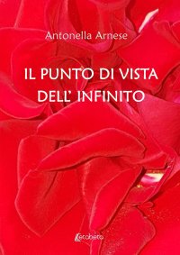 Immagine copertina libro Il punto di vista dell’infinito