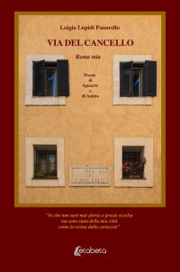 Immagine copertina libro Via del Cancello
