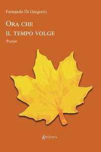 Immagine copertina libro Ora che il tempo volge
