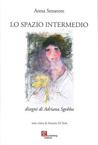Immagine copertina libro Lo spazio intermedio