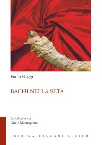 Immagine copertina libro Bachi nella seta