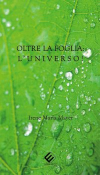 Immagine copertina libro Oltre la foglia: l'universo!