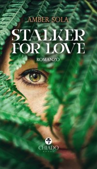 Immagine copertina libro Stalker for love