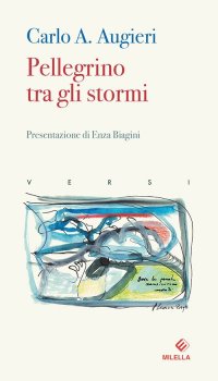 Immagine copertina libro Pellegrino tra gli stormi