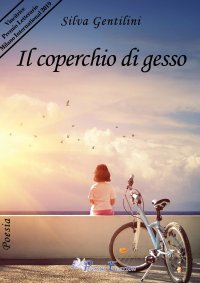Immagine copertina libro Il coperchio di gesso