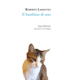 Immagine copertina libro Il bambino di seta