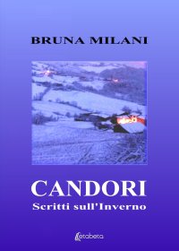 Immagine copertina libro Candori. Scritti sull'inverno