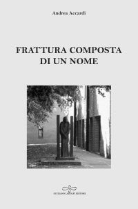 Immagine copertina libro Frattura composta di un nome