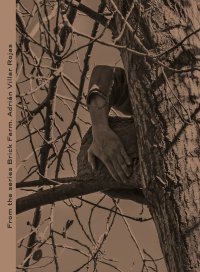 Immagine copertina libro Adrián Villar Rojas. From the series Brick Farm