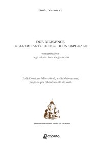 Immagine copertina libro Due diligence dell’impianto idrico di un ospedale e progettazione degli interventi di adeguamento. Individuazione delle criticità, analisi dei consumi, proposte per l’abbattimento dei costi