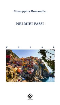 Immagine copertina libro Nei miei passi