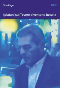 Immagine copertina libro I platani sul Tevere diventano betulle