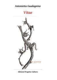 Immagine copertina libro Vitae