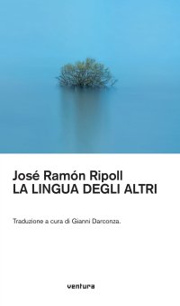Immagine copertina libro La llingua degli altri. Ediz. multilingue