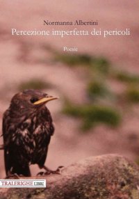 Immagine copertina libro Percezione imperfetta dei pericoli