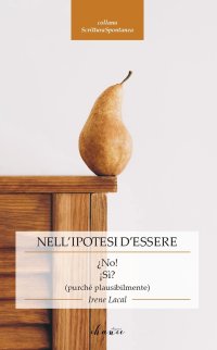 Immagine copertina libro Nell’ipotesi d’essere