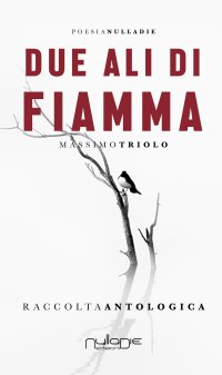 Immagine copertina libro Due ali di fiamma