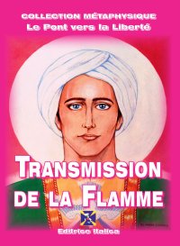 Immagine copertina libro Service de transmission de la flamme