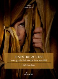 Immagine copertina libro Finestre accese