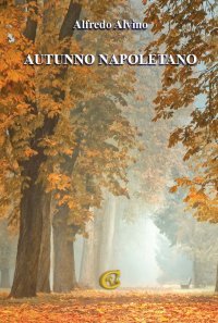 Immagine copertina libro Autunno napoletano