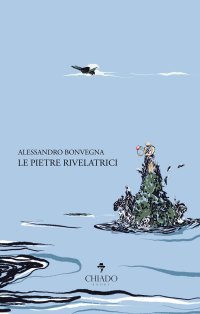 Immagine copertina libro Le pietre rivelatrici