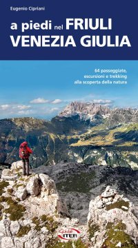 Immagine copertina libro A piedi nel Friuli Venezia Giulia