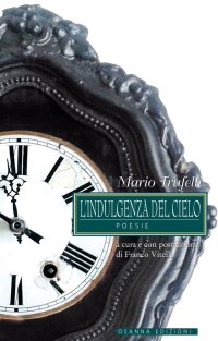 Immagine copertina libro L'indulgenza del cielo