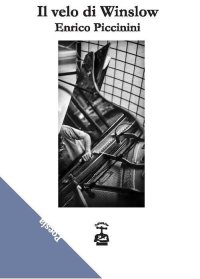 Immagine copertina libro Il velo di Winslow