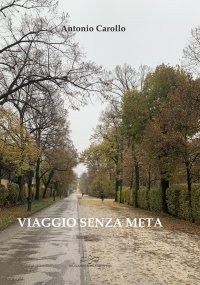 Immagine copertina libro Viaggio senza meta