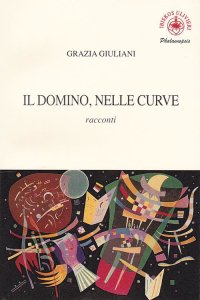 Immagine copertina libro Il domino, nelle curve